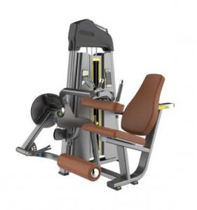 Seated Leg Cur SQ5023B