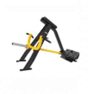 lying T Bar Row AF-5071