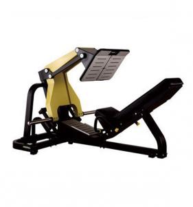 45 Degree  Leg Press SH50