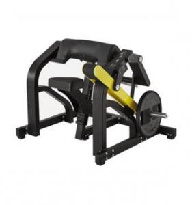 Biceps Curl SH70