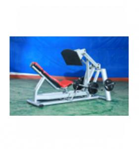 Seated Leg Press 8914