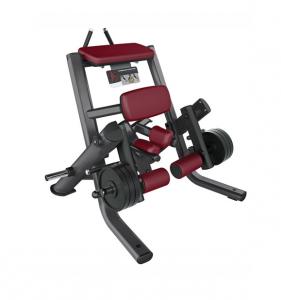 Kneeling Leg Curl 8915