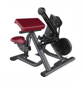 Biceps Curl 8906