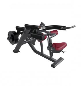 Seated Dip 8907