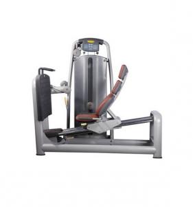 Horizontal Leg Press AF-9819