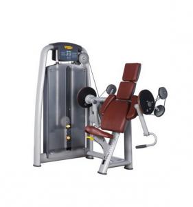 Biceps Curl AF-9811