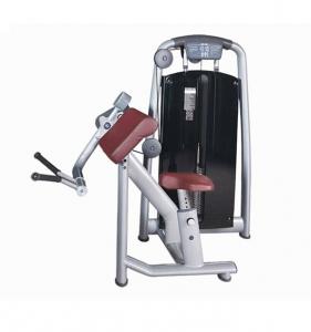 Biceps Machine AF-9847