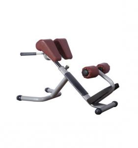 Roman Chair AF-9833