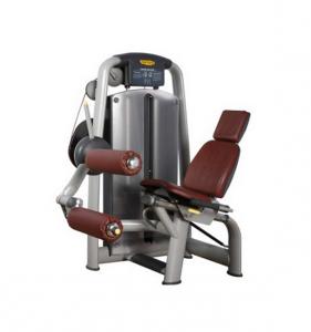 Leg Curl AF-9817
