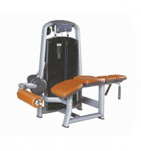 Prone Leg Curl AF-9846