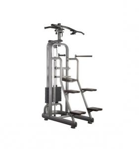 Assisted Chin Up/Dip AF-9824