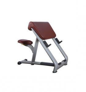 Preacher Curl AF-9834