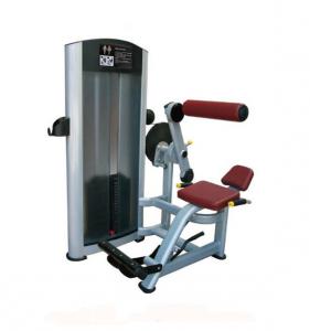 Back Extension AF—8811