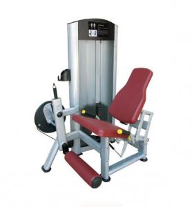 Leg Extension AF—8815
