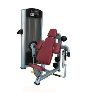 Seated Biceps Curl AF—8806