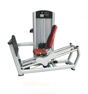 Seated Leg Press AF—8816