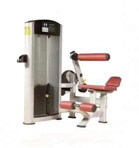 Abdominal Crunch AF—8812a