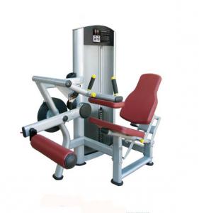 Seated Leg Curl AF—8814
