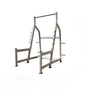 Squat Rack AF—8830