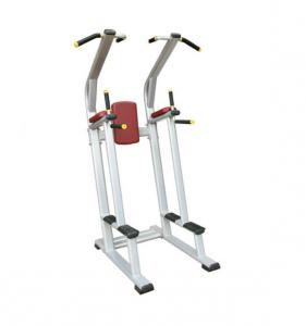 Vertical Knee Raise AF—8841