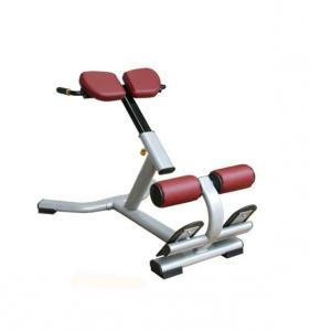 Adjustable Roman Chair AF—8836