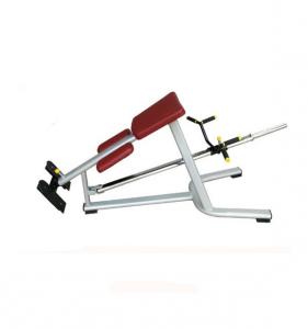 Lying T-bar Row AF—8834