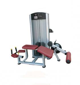 Prone Leg Curl AF—8817