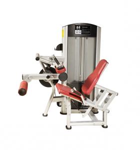 Leg Curl&Leg Extension AF—8848