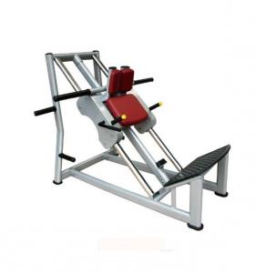 Hack Squat AF—8829