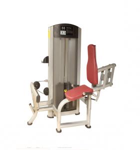 Calf Raise AF—8821a