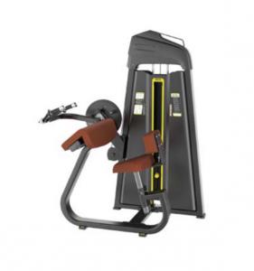 Triceps Extension   AF—5028B