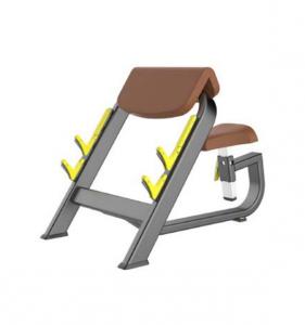 Seated Preacher Curl AF—5044B