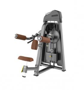 Lateral Raise  AF—5005B