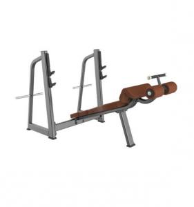 Olympic Decline Bench AF—5041B