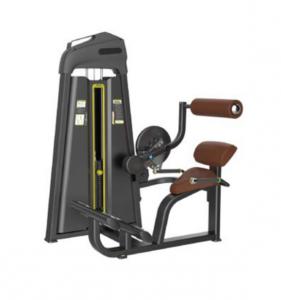Back Extension  AF—5031B