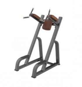 Vertical Kness Up/Dip Curl AF—5047B