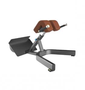 Back Extension Curl AF—5045B