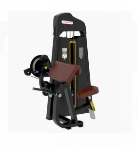 Biceps/Triceps  AF—5074B